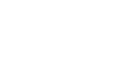 The Brain & Spine Foundation logo